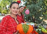 Димитровград - Изложба - Конкурс