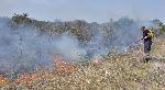 Пожар гори до село Горски извор