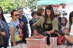 София - Фестивал на розовия домат