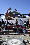 София - Световна купа по стрийт фитнес