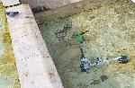 София - Изхвърлен електрически скутер във фонтаните на НДК