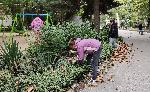 Доброволци освежават варненския зоопарк, садят и дръвчета