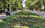 Варна - Цветни алеи