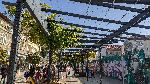 Варна - Коледна украса