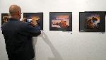 Варна - Международен Салон за Дигитална и Принт Арт фотография