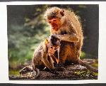 Варна - Международен Салон за Дигитална и Принт Арт фотография