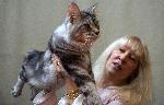 Варна - Изложба на котки