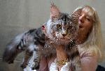 Варна - Изложба на котки