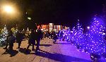 София – Празнична заря и запалване светлините на коледното дърво пред НДК