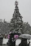 София - Първи снеговалеж