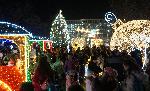 Варна - Запалване на светлините на Коледната елха