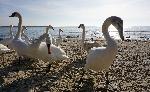 Варна - Плаж