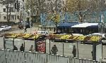 Община Бургас постави "зелени шапки" на автобусни спирки