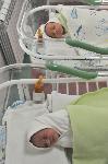 Силистра - новородени бебета