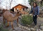 Подариха близо 500 елхи на животните във варненския зоопарк, кампанията продължава