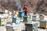 Балчик - Събрание на дружество „Пчела-2019“