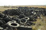 Нерегламентирано сметище за гуми  откриха в село Рудник