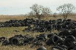 Село Рудник - Бургас - Незаконно сметище