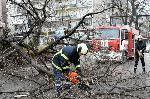 Варна - Паднало дърво на булевард