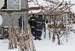 Сливо поле - Починало дете - Отравяне