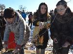 В Харманли зарязаха лозята в местността "Трифончето"