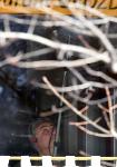 София - Акция на полицията в ресторант "Грозд"