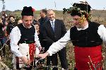 Село Свирачи, Ивайловград - Зарязване на лозята за Трифон Зарезан и винено шествие