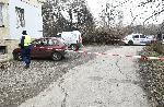 София - Убийство на 48-годишен мъж