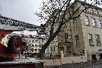 София - Опасно дърво - Училище