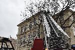 София - Опасно дърво - Училище