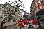 София - Опасно дърво - Училище