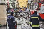 София - Опасно дърво - Училище