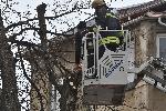 София - Опасно дърво - Училище