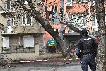 София - Опасно дърво - Училище