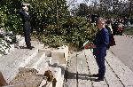 Варна - Национален празник - 142-ра годишнина от Освобождението на България