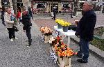 Варна - Росен Марков