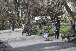 София - Извънредно положение - София