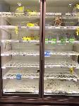 Хаарлем, Нидерландия – Празни щандове в магазин