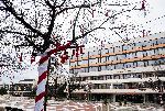 Благоевград – Изпълнение на мерките срещу коронавирус