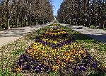 Варна - Карантина