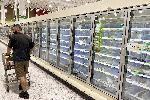 Тампа, Флорида - Празни магазини за хранителни стоки