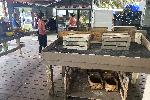 Тампа, Флорида - Празни магазини за хранителни стоки