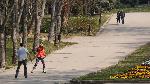 Варна - Пролет в Морската градина