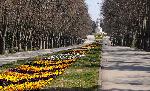 Варна - Зараза коронавирус - Извънредно положение