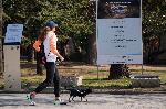 Варна - Зараза коронавирус - Извънредно положение
