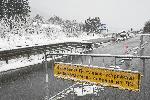 София - Опашка - КПП Драгичево
