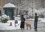 София - Извънредно положение