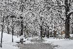 София - Извънредно положение