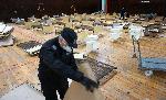 Варна - Пандемия коронавирус - Полева болница
