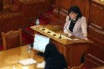 Парламентът реши: Ще заседава само извънредно